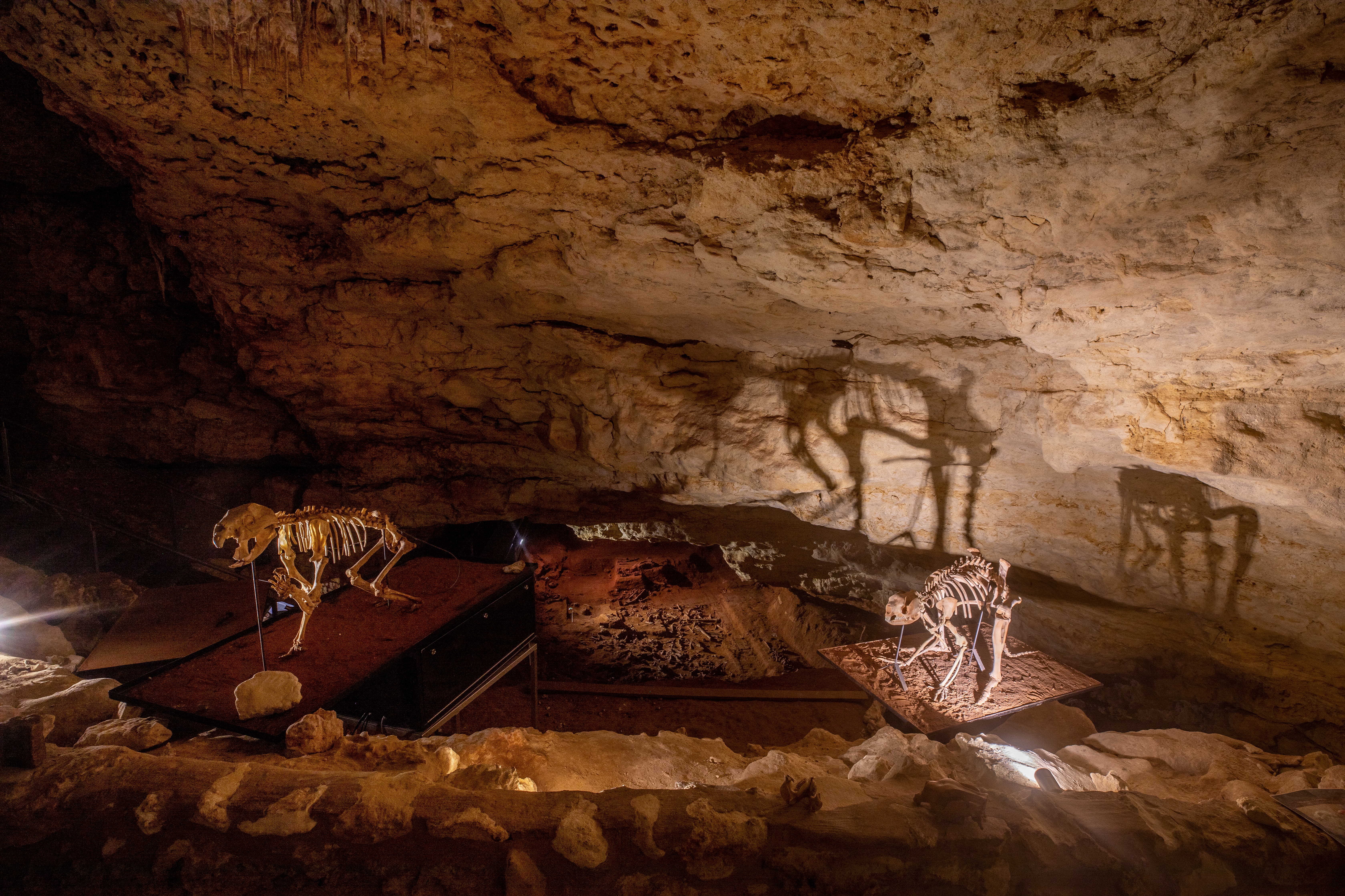 Naracoorte Caves 2023