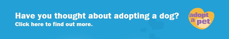 Adopt a pet banner Adopt a pet