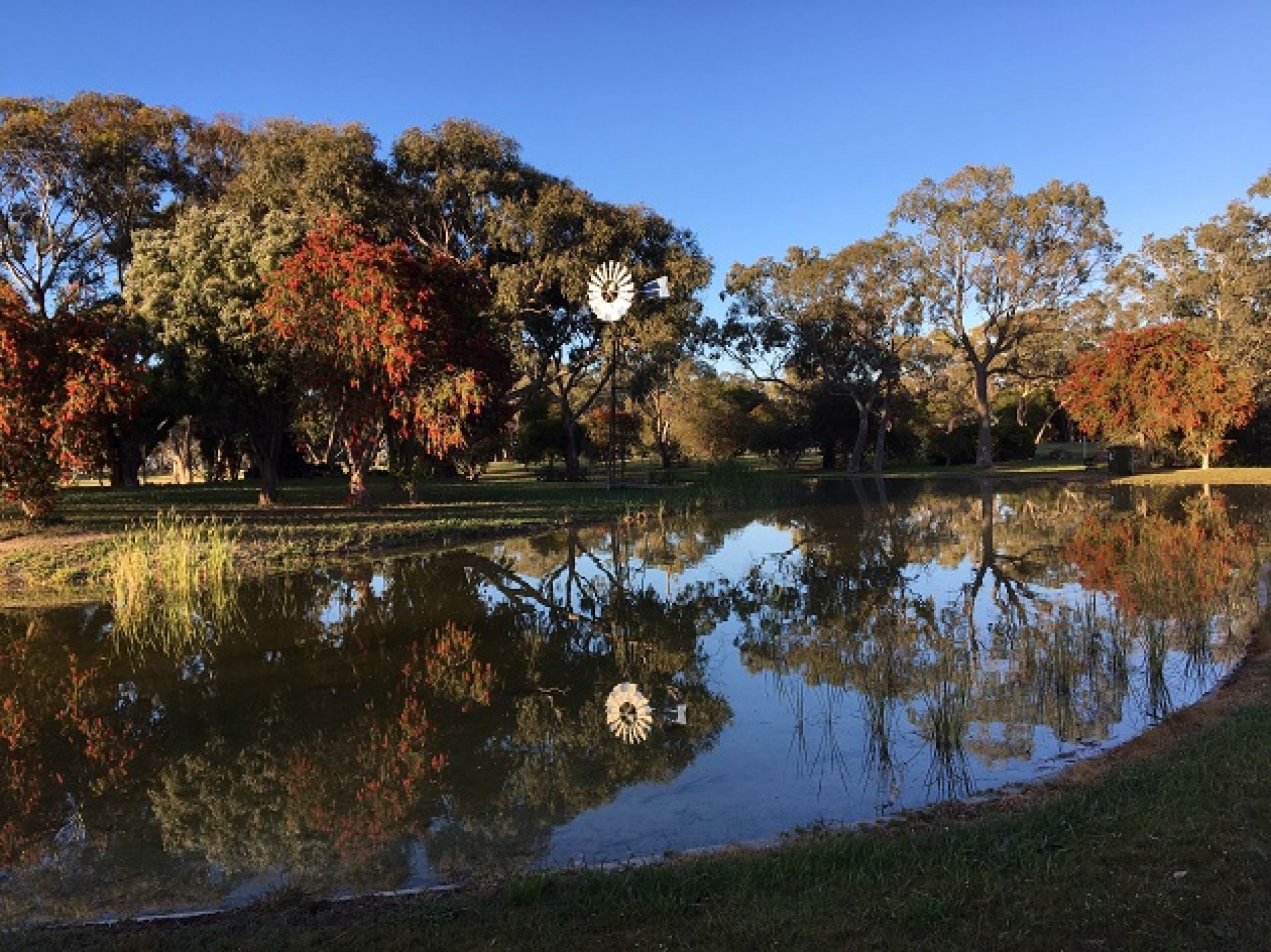 Jubilee Park - Lucindale