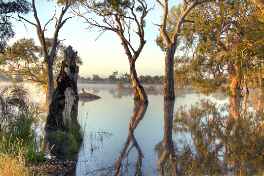 Cockatoo Lake - Photo credit Peter Grieve