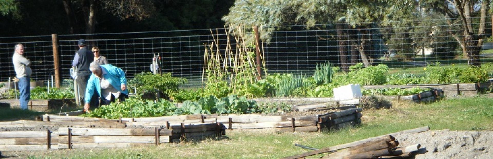 Community Garden Beds