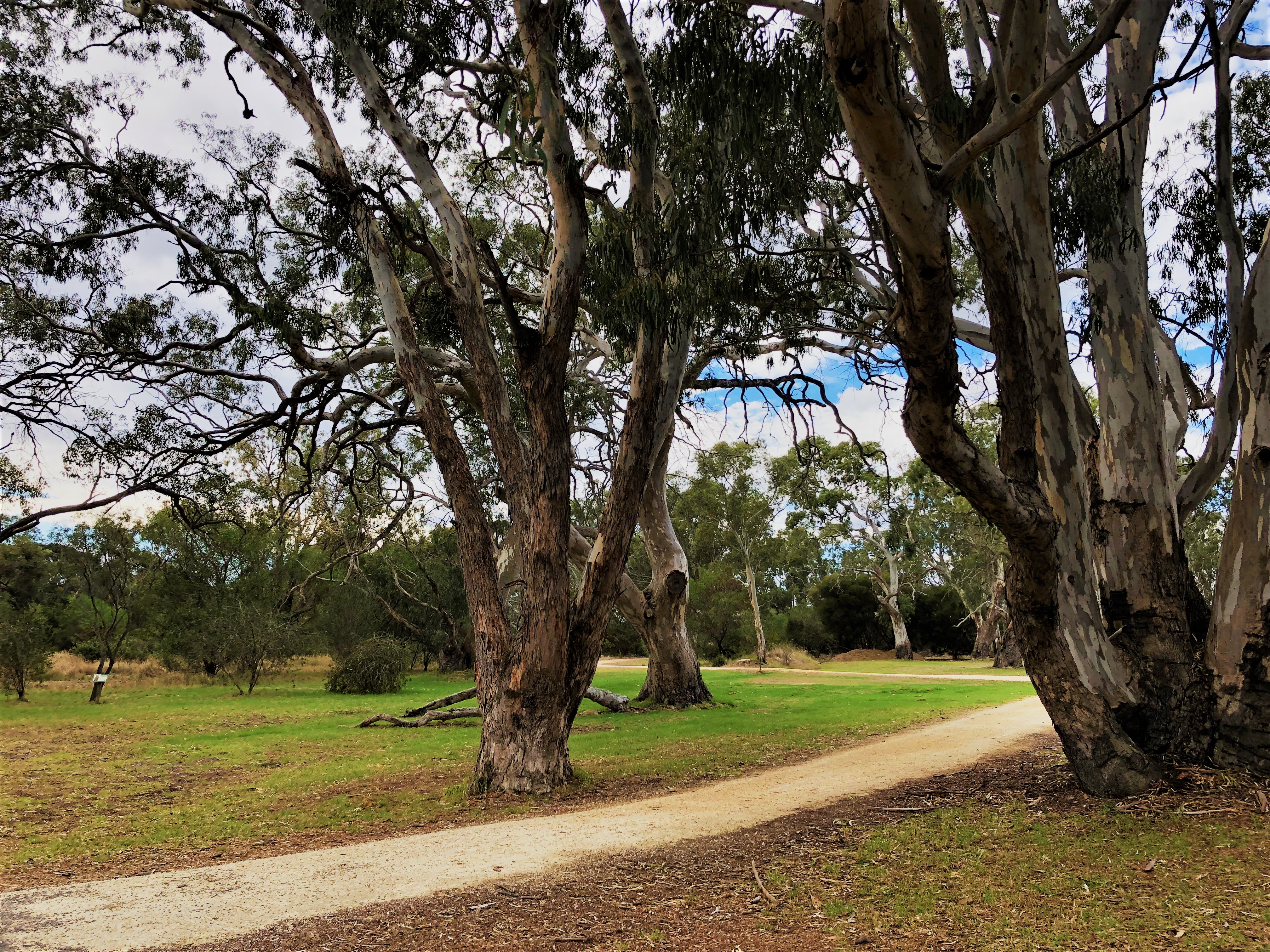 North Parklands image
