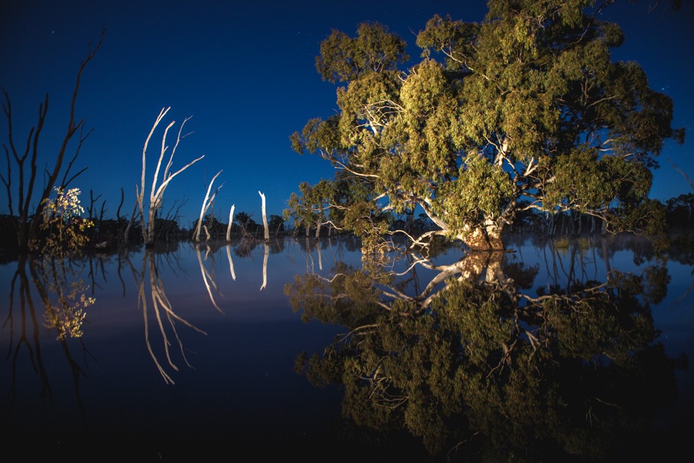 Mullinger Swamp (photo credit Deb Kloeden)