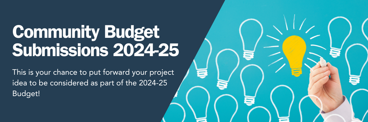 Budget