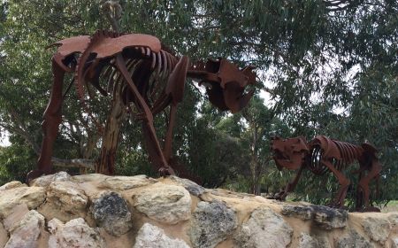 Naracoorte