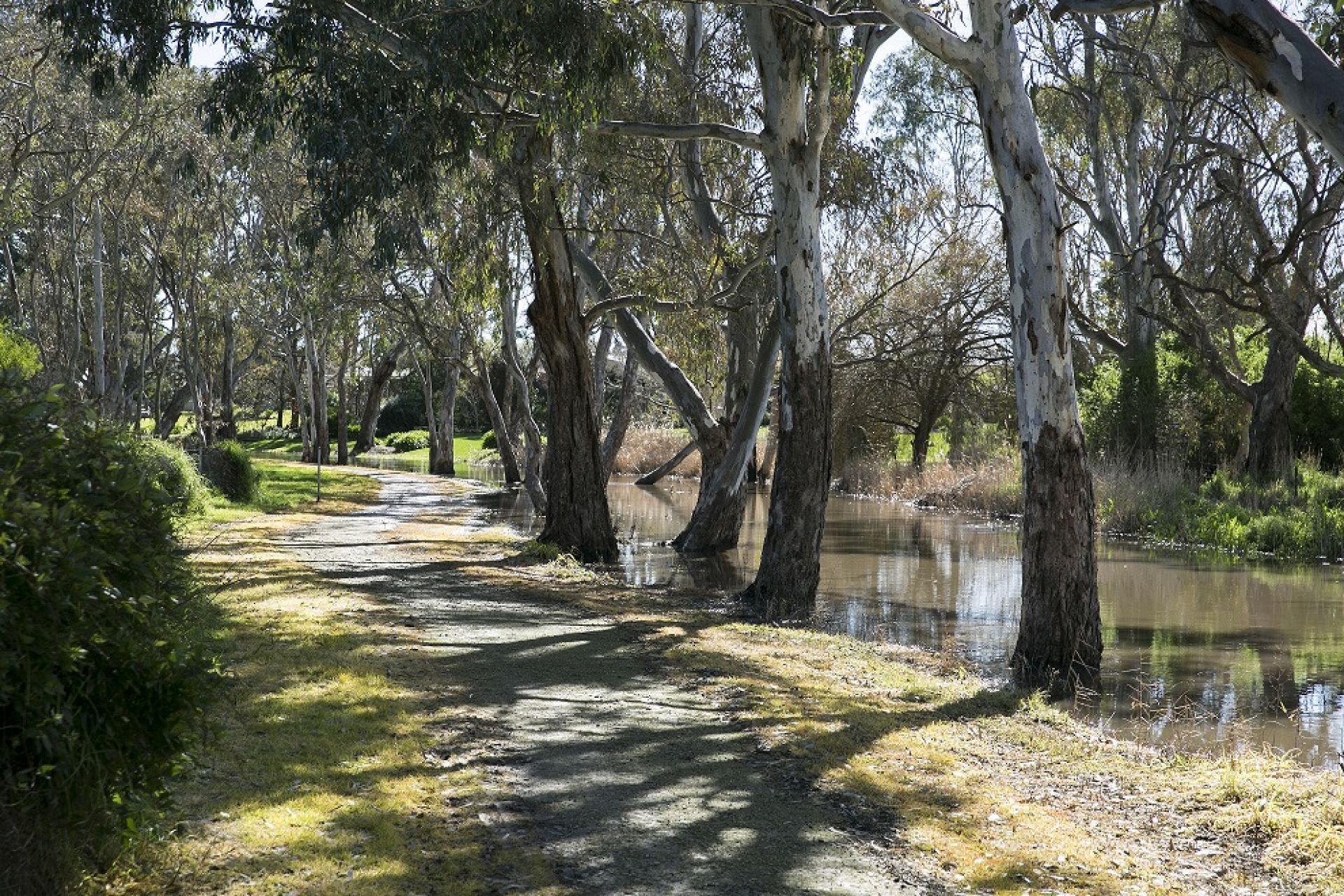 Naracoorte Creek Walk