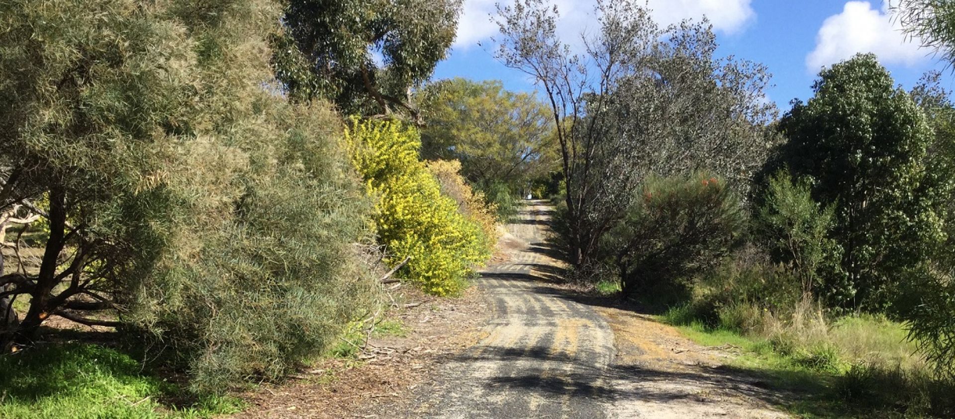 Naracoorte North Nature Park