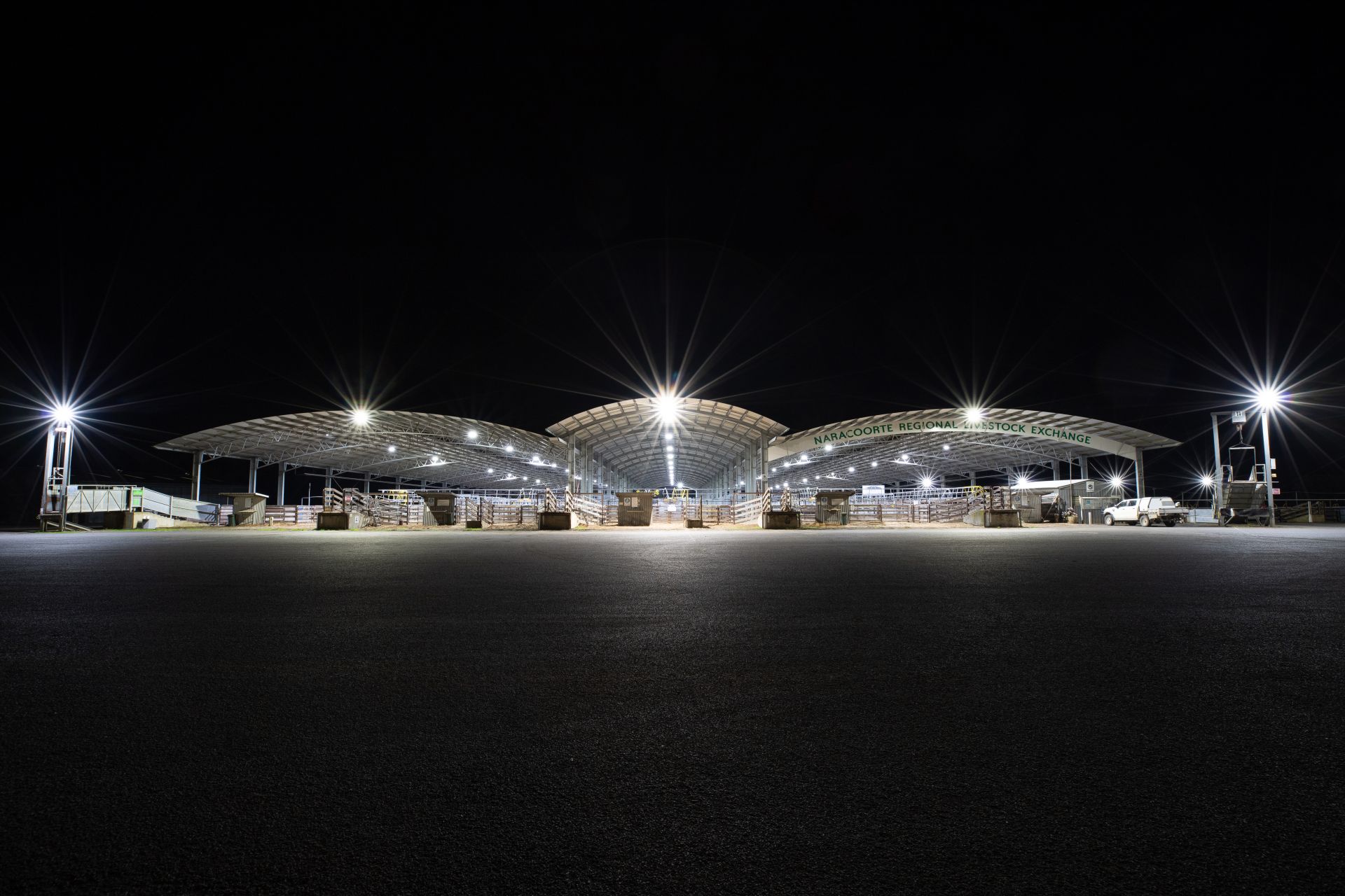 Saleyards at night