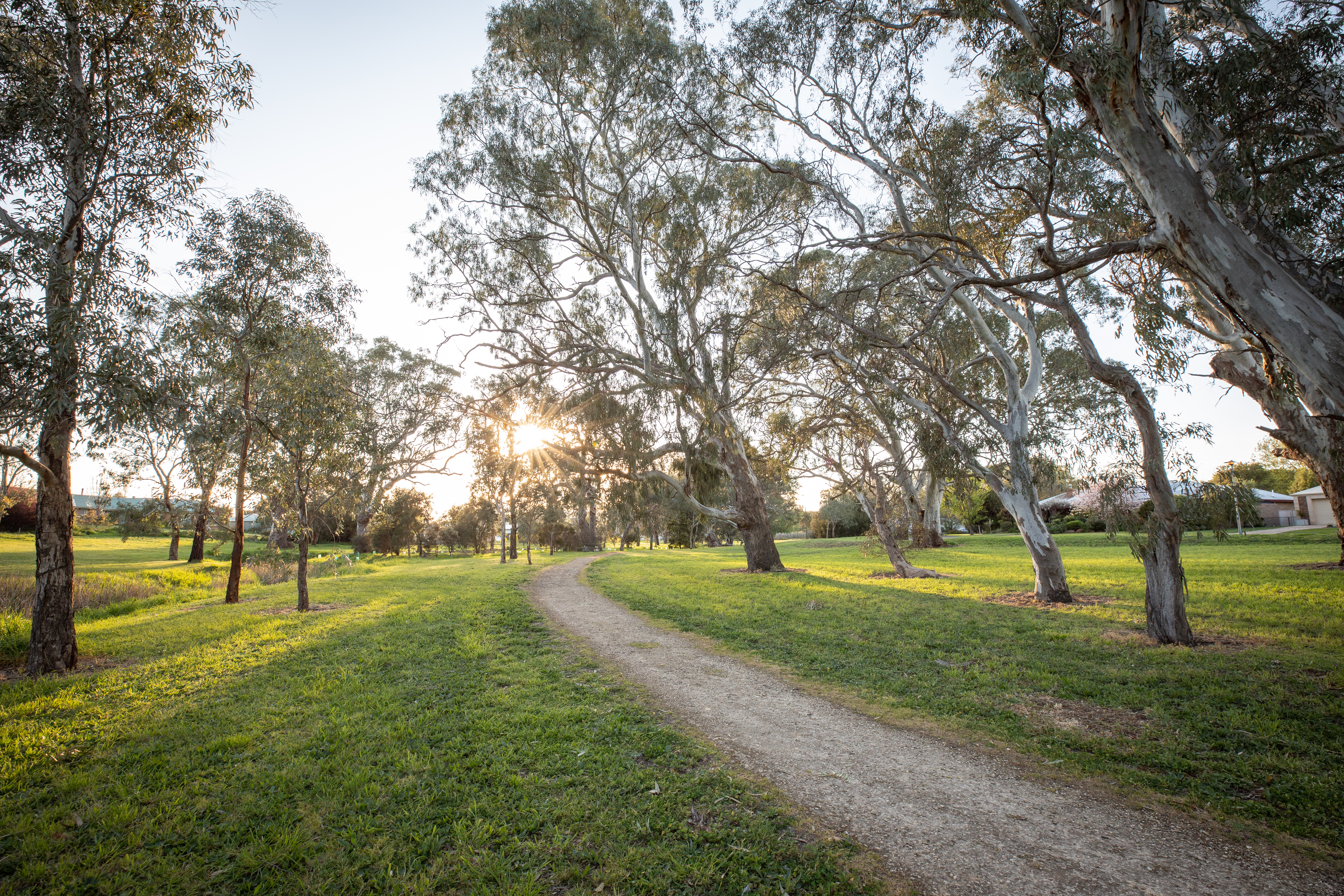 Naracoorte Creek Walk