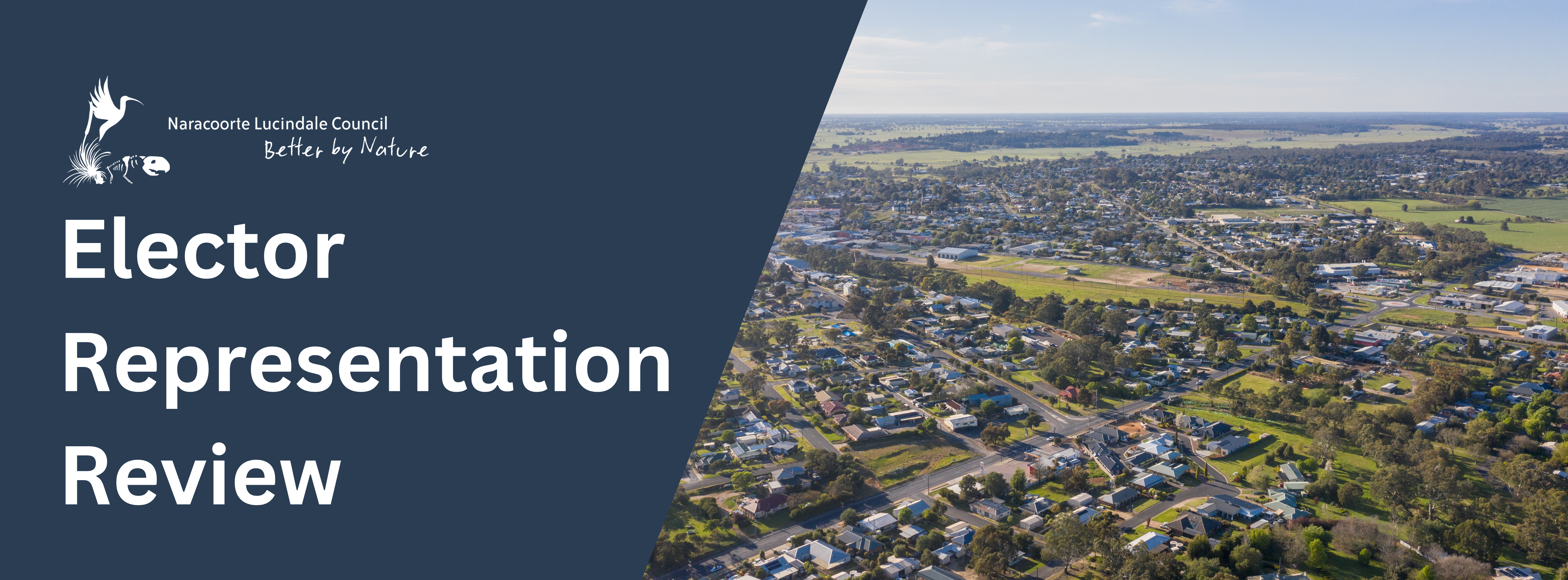 Elector Representation Review banner