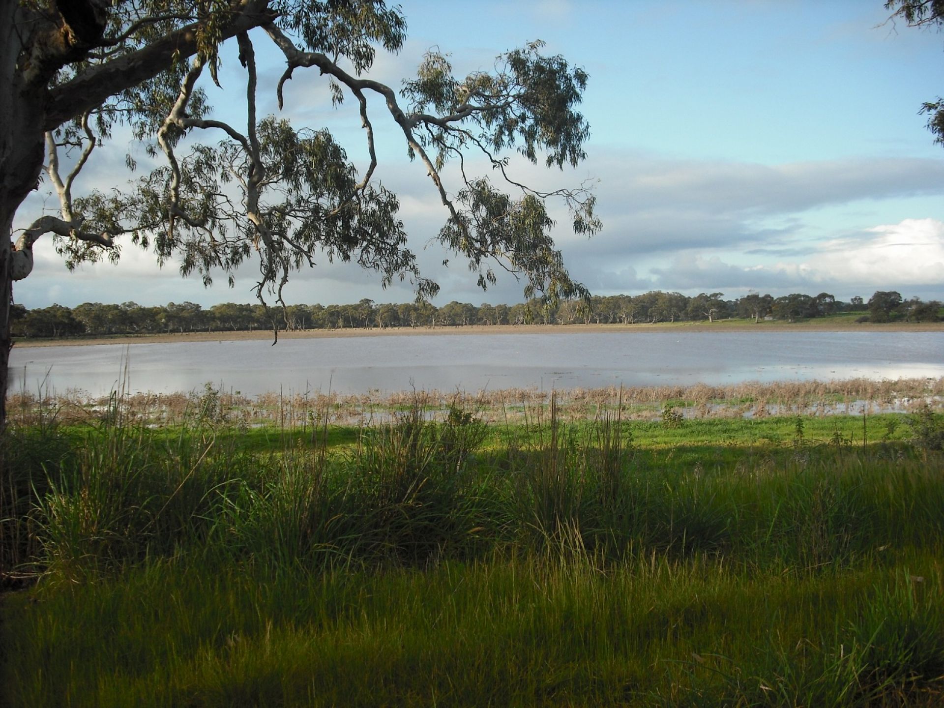 Cockatoo Lake