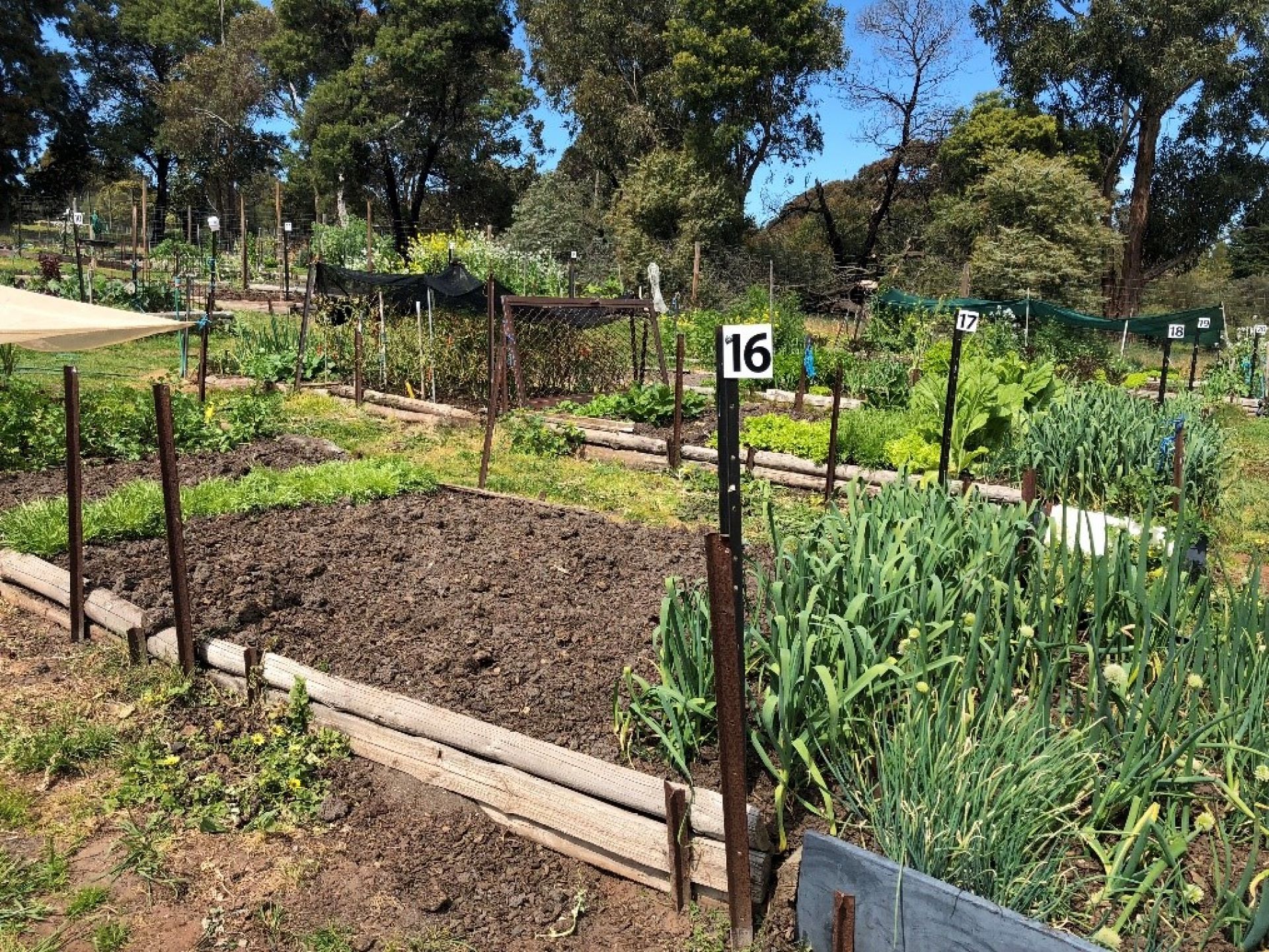 Community Garden 2 Community Garden 1